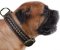 Bullmastiff Dog Collar | Braided Leather Dog Collar for Big Dog