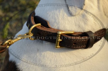 "VIP Class Doggy" Best Dog Collar For American Bulldog With Braided Design