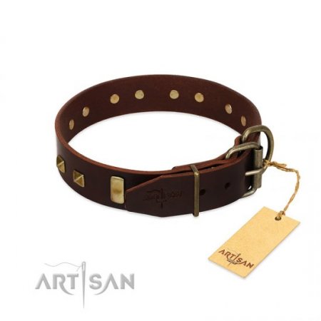 "Choco Delight" Awesome Chocolate Brown Leather Dog Collar With Brass Hardware FDT Artisan