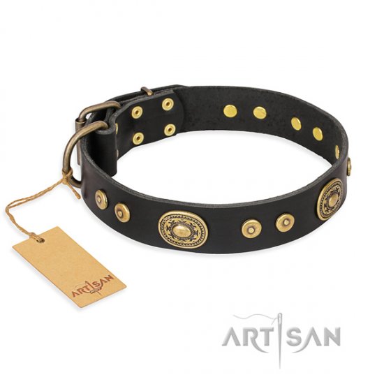 Royal Dog Collar Design "Golden Radiance" FDT Artisan