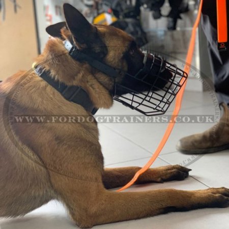 Malinois Dog Muzzle Basket Covered with Black Ruber