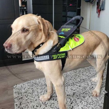Guide Dog Harness with Bridge Handle, High Vis and Patches