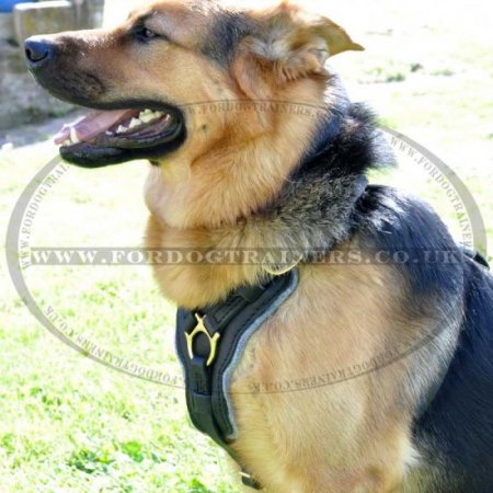 Comfy German Shepherd Harness K9 and Walking Design