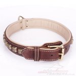 "Cube" Tough Brown Leather Dog Collars UK With Decorations_1