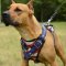 Dog Harness for Pitbull Handpainted "American Pride"