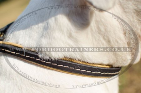 "Large Snake" Stylish Leather American Bulldog Choke Collar 0.5 In Width