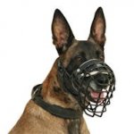 Malinois Dog Muzzle Basket Covered with Black Ruber