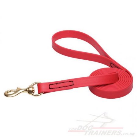 Red Dog Lead with Handle New Extra Strong Biothane