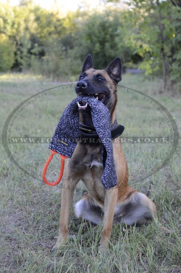 Strong Dog Bite Training Rag, French Linen