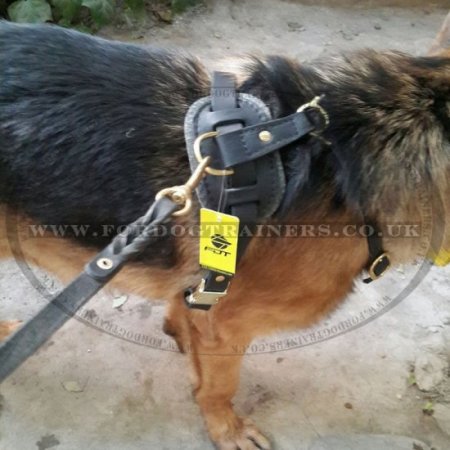 Dog Harness Real Leather with Soft Padded Chest XL ONLY!