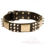 Leather Dog Collar Best Design | Dog Collar for Bright Style!