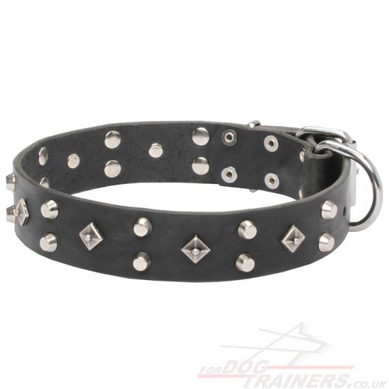 Attractive Designer Dog Collar Leather with Studded Style
