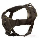 Light & Strong Padded Nylon Dog Harness with Handle XS-XL Sizes