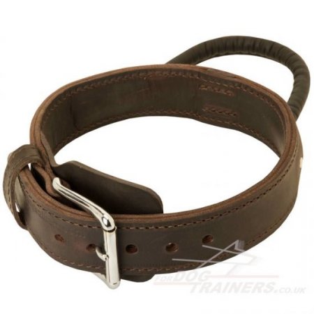 Husky Dog Collar with Control Handle