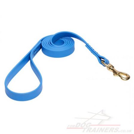 NEW! Bright and Strong Blue Dog Leash Biothane