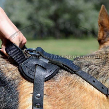German Shepherd Dog Harness with V-Shaped Chest