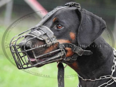 High-Quality Metal Wire Dog Muzzle "For Everyone" For Daily Walks