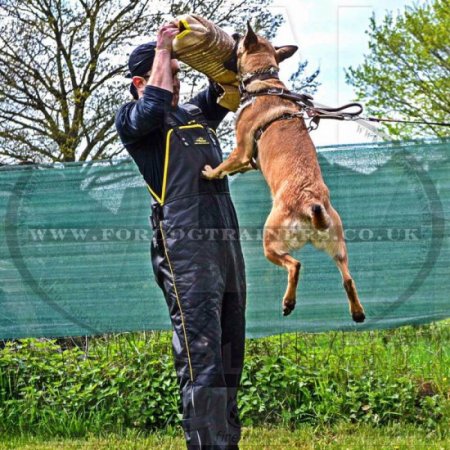 Professional K9 Bite Sleeve for Dog Training with Jute Cover