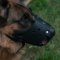The Best German Shepherd Dog Muzzle that Won't Come Off