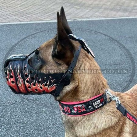Leather Dog Muzzles "Flame" Size 3 for Rottweiler