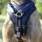 Padded Dog Harness for Malinois | Bestseller Leather Dog Harness