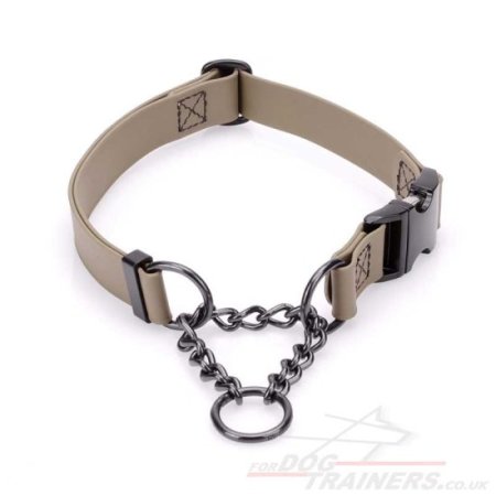 The Best Martingale Collar with Buckle and Chain for Dog Obedience