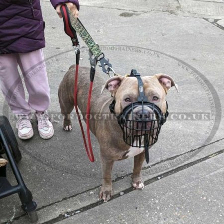 High-Quality Metal Wire Dog Muzzle "For Everyone" For Daily Walks