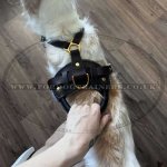 Large Leather Dog Harness UK Bestseller K9 Padded_12