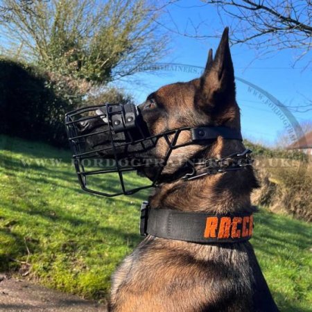 Malinois Dog Muzzle Basket Covered with Black Ruber