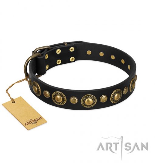 Elite Designer Black Leather Dog Collar by FDT Artisan