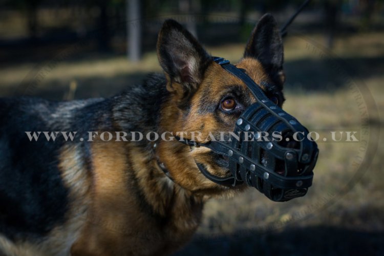 Leather Dog Muzzle for German Shepherd