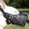 English Bull Terrier Dog Muzzle, Strong and Roomy Leather Basket