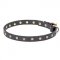 Precious Dog Collar Design with Stellar Studs of Brass