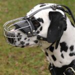 Dalmatian Muzzle Basket Type | Dalmatian Size Dog Muzzle