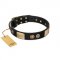 The Best Big Boy Dog Collar with Brass Fittings "Smarty" Artisan