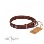 Dark Brown Leather Dog Collar | Exclusive Dog Collar UK FDT Artisan_1