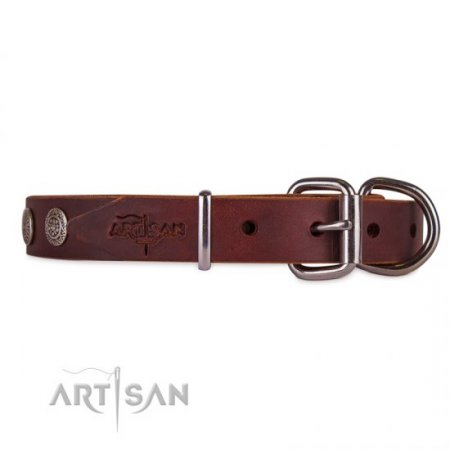 Dark Brown Leather Dog Collar | Exclusive Dog Collar UK FDT Artisan
