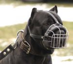 Padded Cane Corso Muzzle for Mastiff Breeds Wire Basket