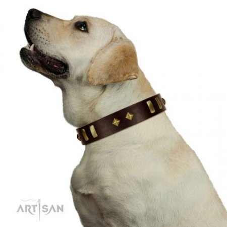 "Blinking Illusion" Extraordinary Brown Leather Dog Collar With Shiny Studs FDT Artisan