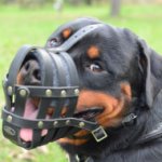 Rottweiler Muzzles UK Leather Basket Light and Super Ventilated