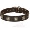 Vintage Studded Dog Collar UK Bestseller