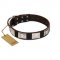 Studded Dark Brown Leather Dog Collar with Plates FDT Artisan