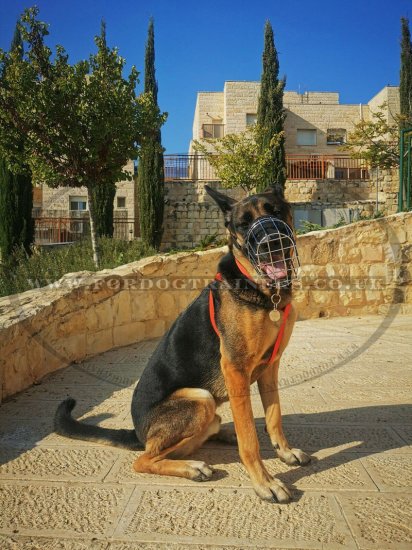 German Shepherd Muzzle that Allows Drinking Super Ventilated