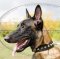 Dog Collars for Sale for Malinois | Buy Dog Collar, Nylon&Plates