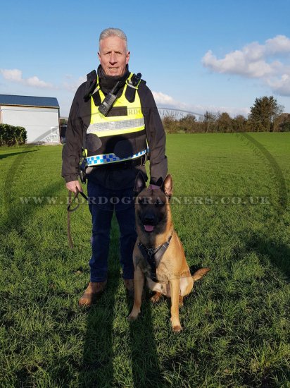 Protection/Attack Leather Dog Harness for Belgian Malinois