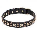 Perfect Dog Collar with Studs "Hollywood Star" 1 1/5 inch