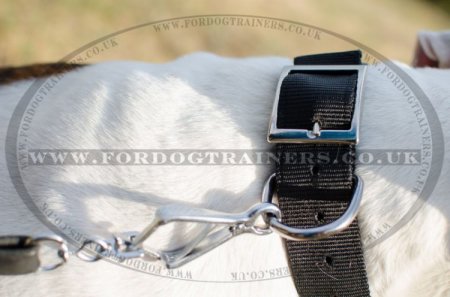 "Thorns Of Roses" Studded Nylon Dog Collar For American Bulldog