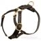 Large Luxury Dog Harness UK Best Quality