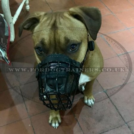 Dog Muzzle for Amstaff Rubberized Wire | Safe Muzzle for Staffy