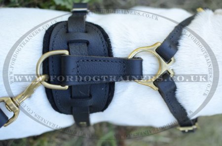 Bull Terrier Leather Dog Harness | Leather Dog Harness for Dogs